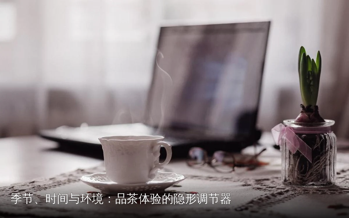季节、时间与环境：品茶体验的隐形调节器